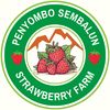 penyombo_sembalun2