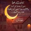 mahjoub394