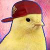 rogerthechick1