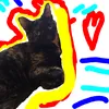 alguienmuyrandom12554322