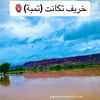 medsadfi66