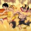One Piece TCG and Collectibles