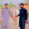 doger.group.arifwala