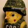 c_el_mago57