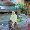 maahir.mohamed08