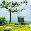 linh33506