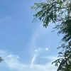 hoangha25032