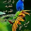 yahiaoui996