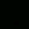 winz_284