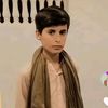 babubrohi904
