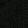 ranem9555