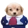 .www.dwoqn._