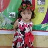 sicca_maboi