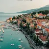 ali.mousa803