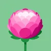 user194180546