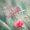 aseel.aswad8