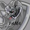 taha.nasr5