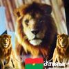 diarra.ousmane571