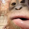 zoeprivxx1