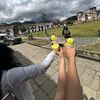carol.pelaez0