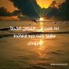 user72944741445346
