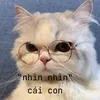 meocanf2p