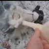 maski_023