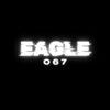 Eagle067