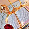 user14544105161228