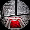 hakeem88895