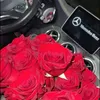 donia.safi4