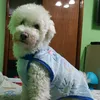 santy2000_8