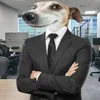 sabaku_skadakowne