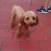 user3613406133117