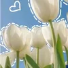 vitbietnoi063