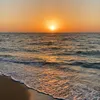 tal_dana8
