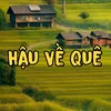hauveque4
