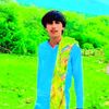 zakir.king255