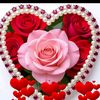 sabbirmallick378