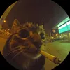 phonkhayb37