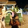 upin_botak41