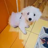 beyondgaming_yt