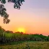 natureview044