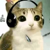 mielanimator