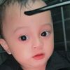 alwi22408