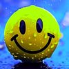 alina.noor97