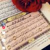 user4559618136596