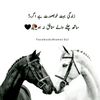 user5576210114670