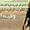 user9515600992421