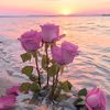 hanahamed60